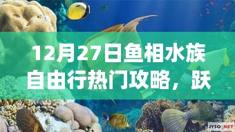 12月27日魚相水族心靈之旅，深藍海洋自由行攻略