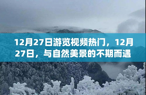 2024年12月29日 第8頁(yè)