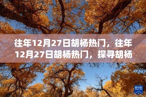 探尋胡楊魅力與熱門事件背后的故事，歷年12月27日胡楊之旅的熱門揭秘