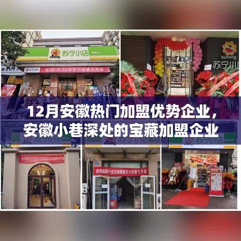 安徽特色加盟企業(yè)探尋，寶藏小店的無(wú)限魅力與獨(dú)特優(yōu)勢(shì)