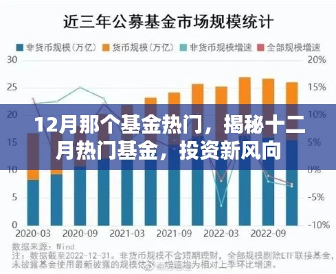 揭秘十二月熱門基金，投資新風(fēng)向，把握最新熱門基金機(jī)會(huì)！