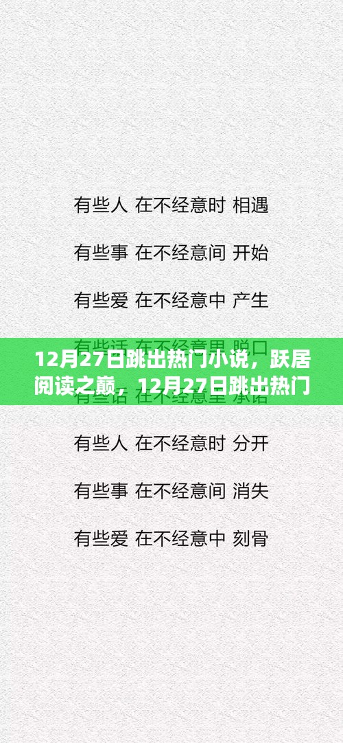 12月27日熱門小說躍居閱讀之巔，全面評測與介紹