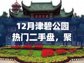 津碧公園熱門二手盤解讀與置業(yè)指南，熱門房源一覽及指南