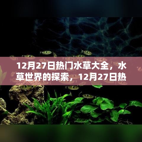 12月27日熱門水草品種深度解析，水草世界的奧秘與觀點碰撞