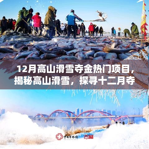 揭秘高山滑雪，十二月奪金熱門項目的魅力與要點解析