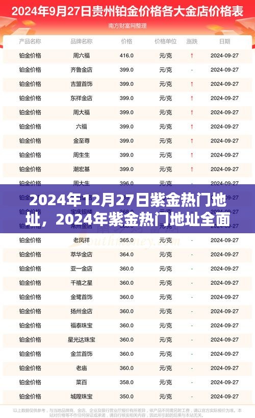 2024年紫金熱門地址全面評測，特性、體驗、對比及用戶群體深度解析