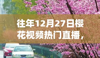 探秘櫻花盛開之夜的巷弄秘境，特色小店直播之旅回顧往年櫻花視頻直播盛況