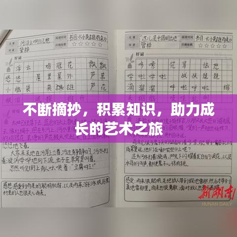 不斷摘抄，積累知識，助力成長的藝術之旅