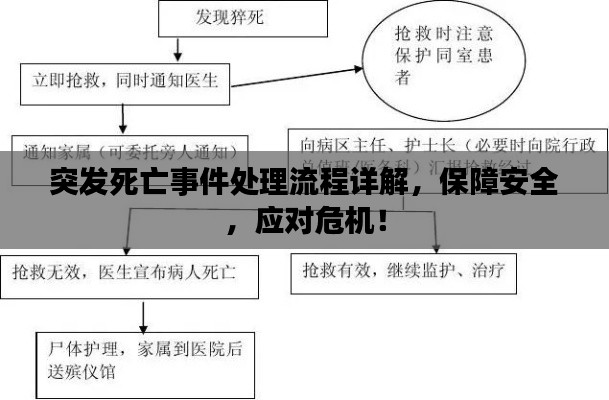 突發(fā)死亡事件處理流程詳解，保障安全，應(yīng)對(duì)危機(jī)！