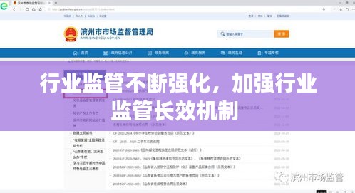 行業(yè)監(jiān)管不斷強(qiáng)化，加強(qiáng)行業(yè)監(jiān)管長(zhǎng)效機(jī)制 