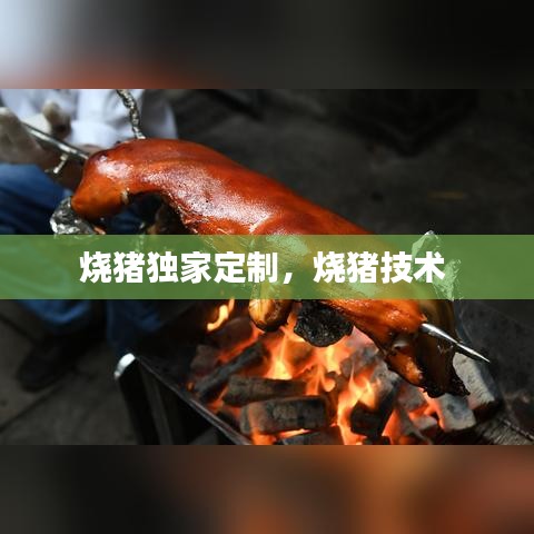 燒豬獨(dú)家定制，燒豬技術(shù) 