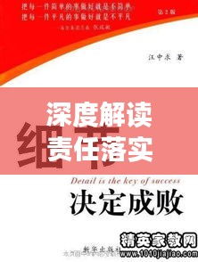 深度解讀責(zé)任落實(shí)剖析材料，細(xì)節(jié)揭示成敗關(guān)鍵