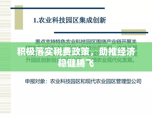 積極落實稅費政策，助推經(jīng)濟穩(wěn)健騰飛