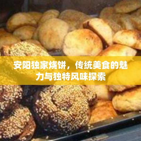 安陽(yáng)獨(dú)家燒餅，傳統(tǒng)美食的魅力與獨(dú)特風(fēng)味探索