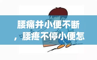 腰痛并小便不斷，腰疼不停小便怎么回事 