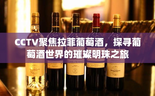 CCTV聚焦拉菲葡萄酒，探尋葡萄酒世界的璀璨明珠之旅