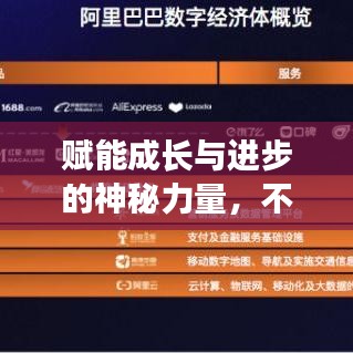 賦能成長(zhǎng)與進(jìn)步的神秘力量，不斷升級(jí)的增幅書揭秘