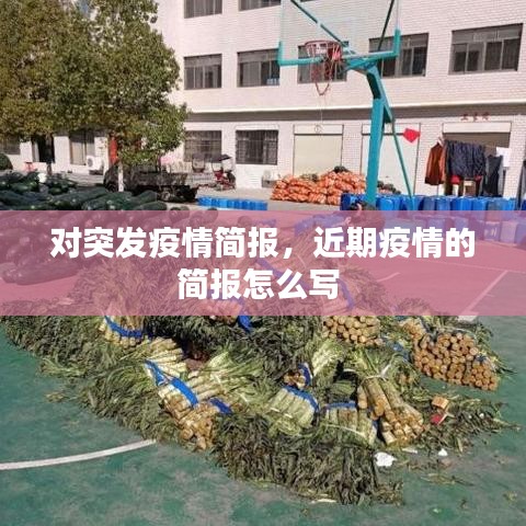 對突發(fā)疫情簡報，近期疫情的簡報怎么寫 