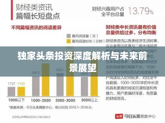 獨(dú)家頭條投資深度解析與未來前景展望