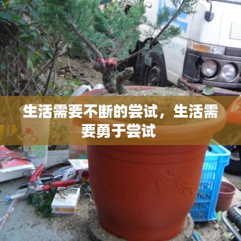 生活需要不斷的嘗試，生活需要勇于嘗試 