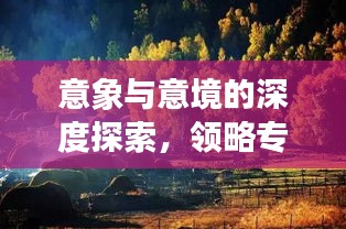 意象與意境的深度探索，領(lǐng)略專題魅力