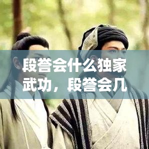 段譽(yù)會什么獨(dú)家武功，段譽(yù)會幾種武功 