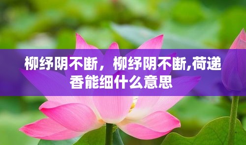 柳紓陰不斷，柳紓陰不斷,荷遞香能細什么意思 