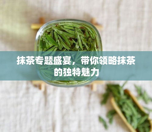 抹茶專題盛宴，帶你領(lǐng)略抹茶的獨(dú)特魅力