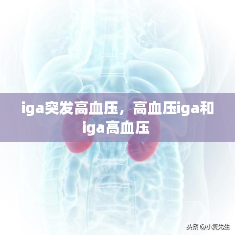 iga突發(fā)高血壓，高血壓iga和iga高血壓 