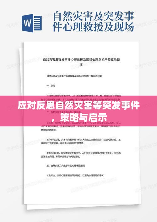 應(yīng)對反思自然災(zāi)害等突發(fā)事件，策略與啟示