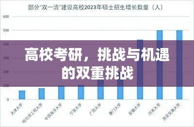 高?？佳?，挑戰(zhàn)與機(jī)遇的雙重挑戰(zhàn)