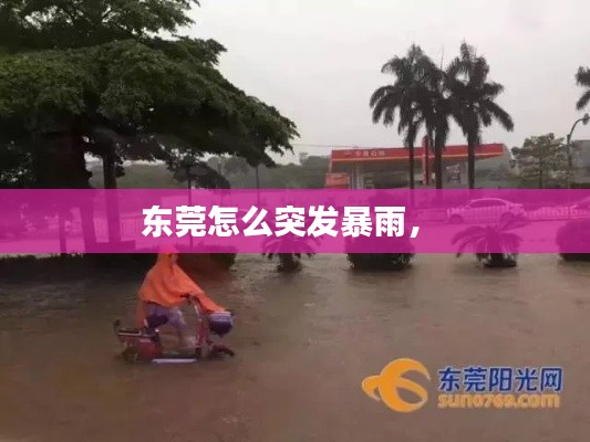 東莞怎么突發(fā)暴雨， 