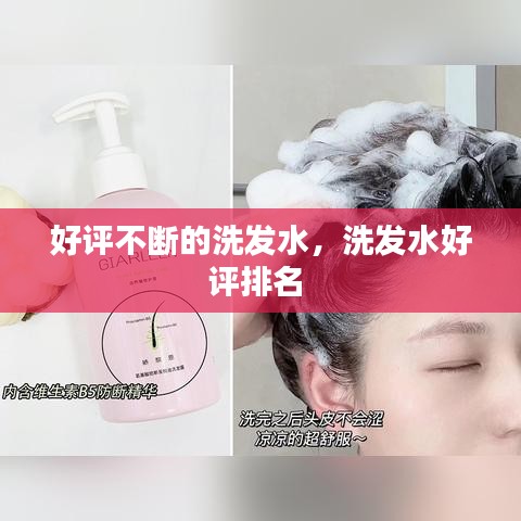 好評不斷的洗發(fā)水，洗發(fā)水好評排名 