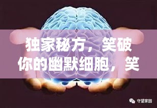 獨(dú)家秘方，笑破你的幽默細(xì)胞，笑料大解密！