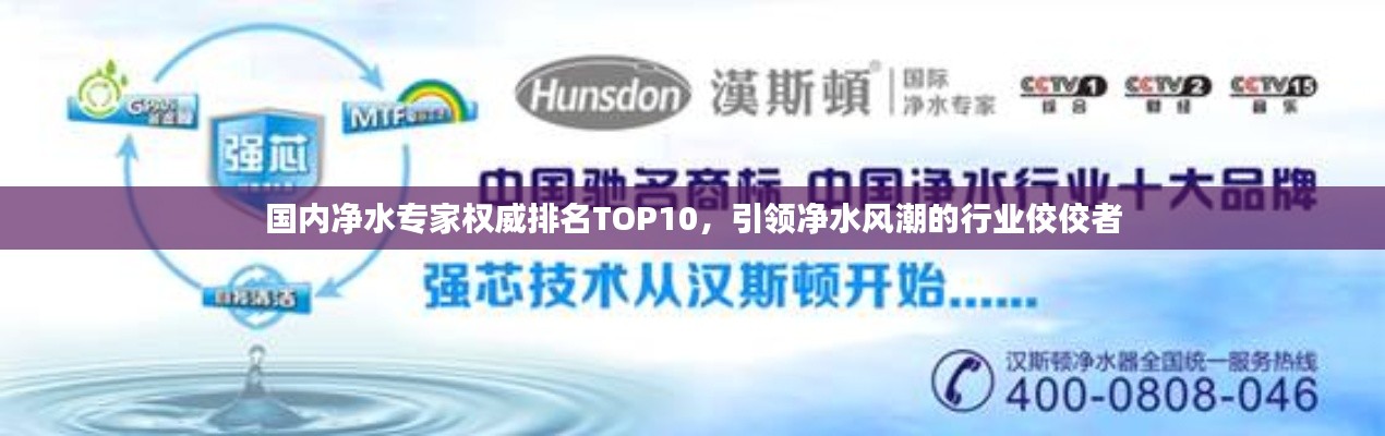 國(guó)內(nèi)凈水專家權(quán)威排名TOP10，引領(lǐng)凈水風(fēng)潮的行業(yè)佼佼者