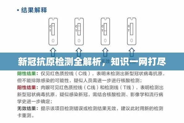 新冠抗原檢測全解析，知識一網打盡