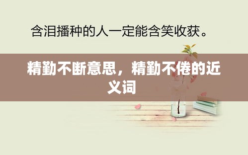 精勤不斷意思，精勤不倦的近義詞 