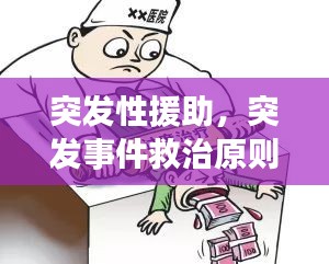 突發(fā)性援助，突發(fā)事件救治原則 