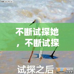 不斷試探她，不斷試探表情包 