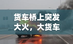 貨車橋上突發(fā)大火，大貨車起火,司機(jī)冒著生命 