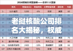 老撾核酸公司排名大揭秘，權威榜單揭曉，這些公司領跑行業(yè)！