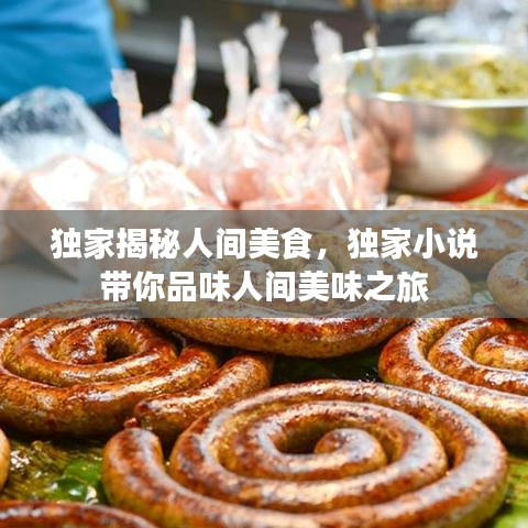 獨(dú)家揭秘人間美食，獨(dú)家小說帶你品味人間美味之旅